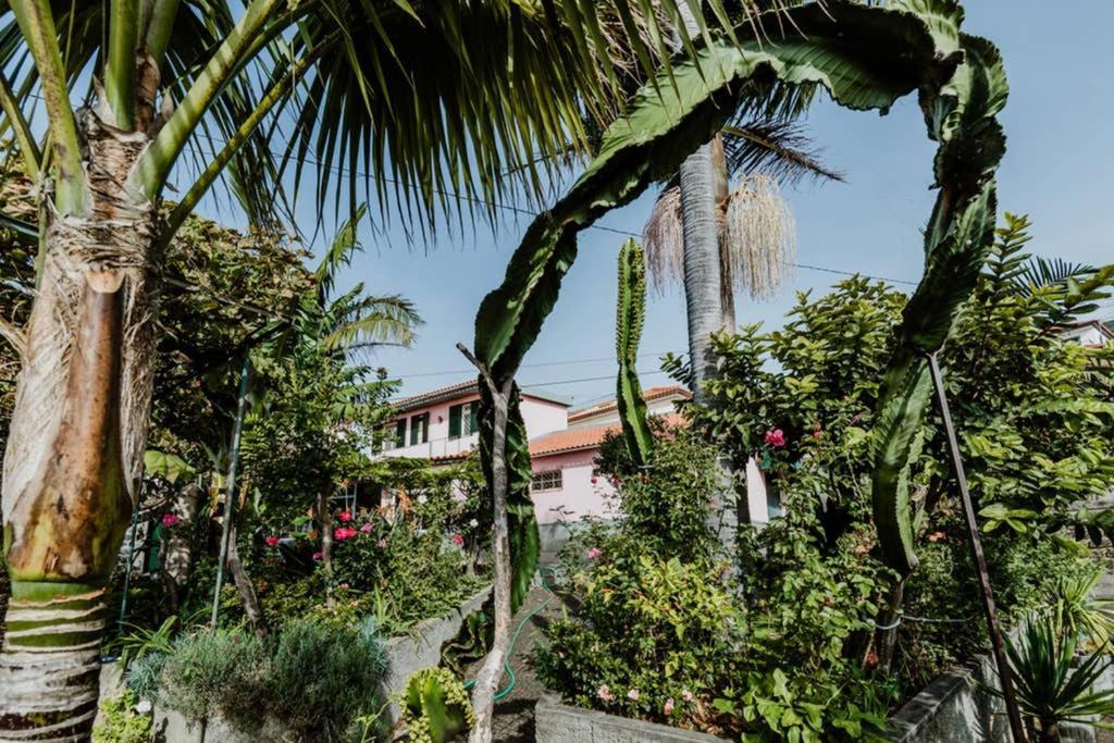 City View Gardens Funchal  Exteriér fotografie