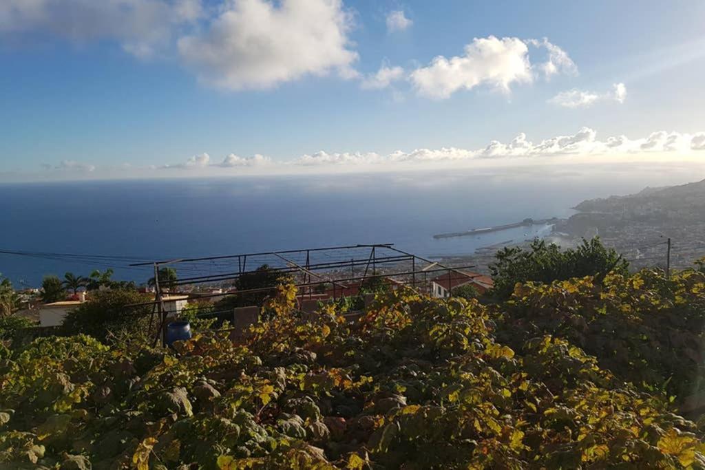 City View Gardens Funchal  Exteriér fotografie