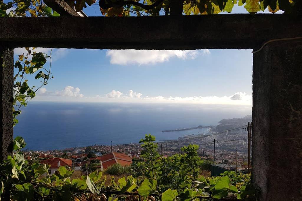 City View Gardens Funchal  Exteriér fotografie